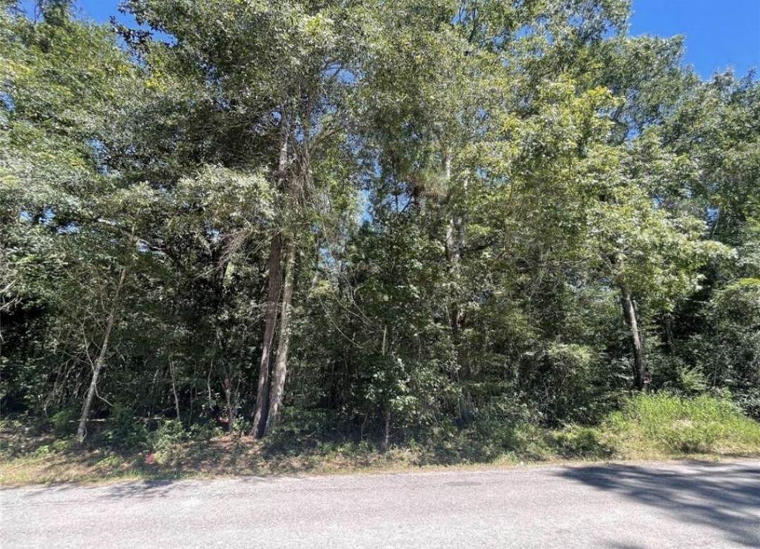 TBD County Road 3669C - Photo 1