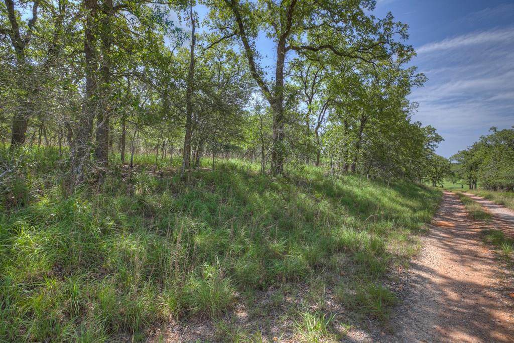 1221 Shawnee Lane - Photo 1