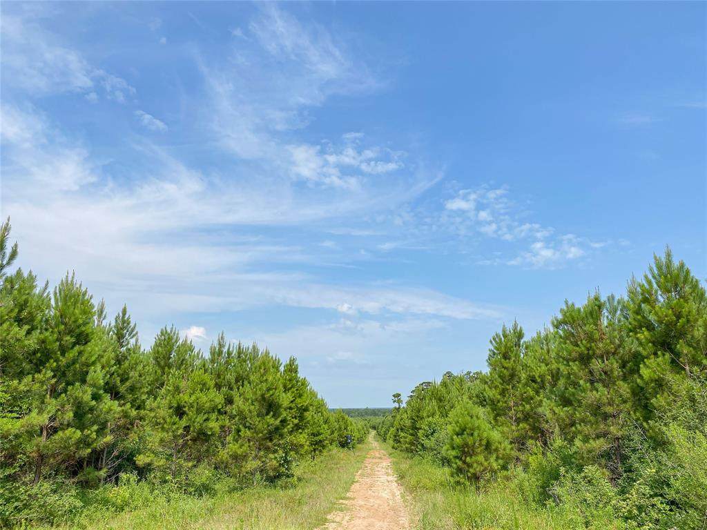 000 Red Hollow Rd - Photo 1