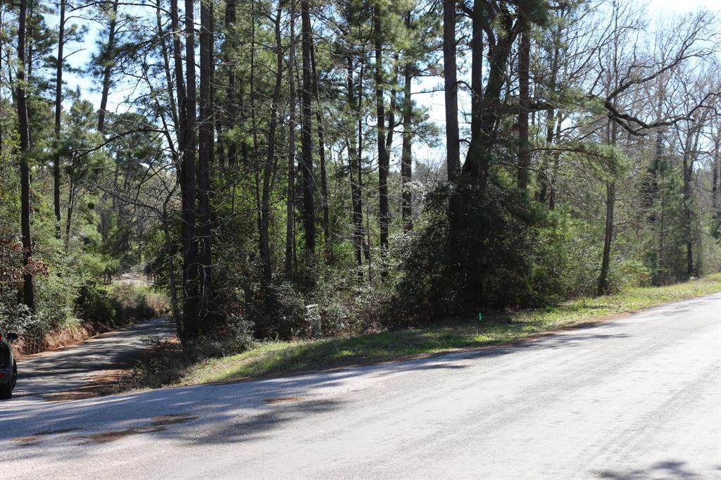 7 Old Groveton Road - Photo 1