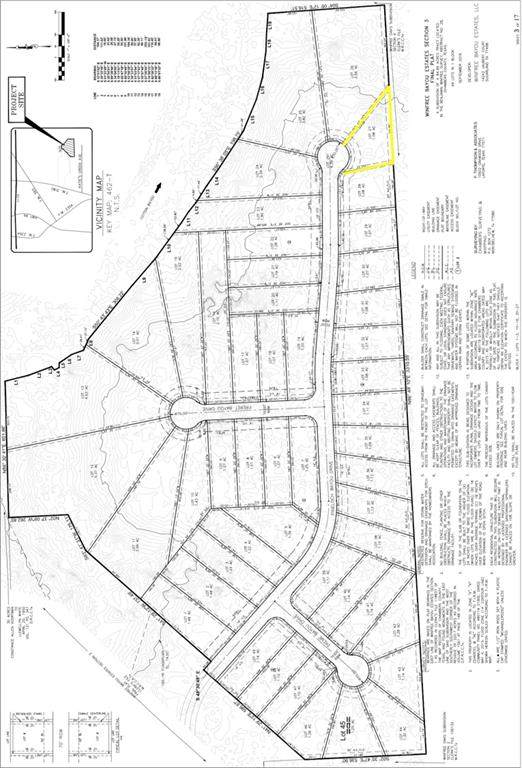 LOT 27 Pineloch Bayou Drive - Photo 1