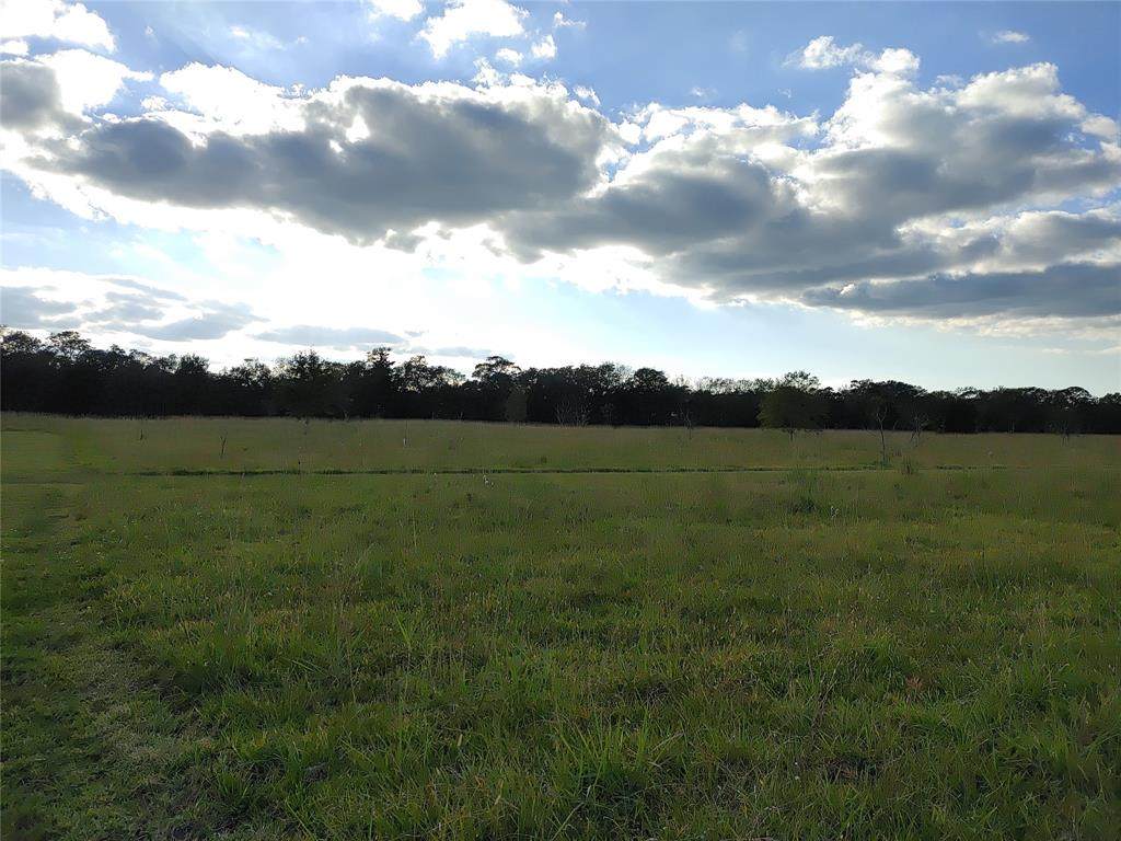 000 County Road 502E - Photo 1