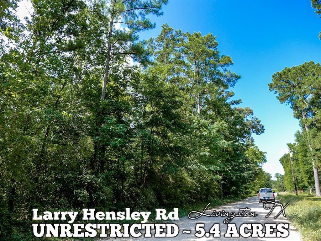 5.4-ac Larry Hansley Road - Photo 1