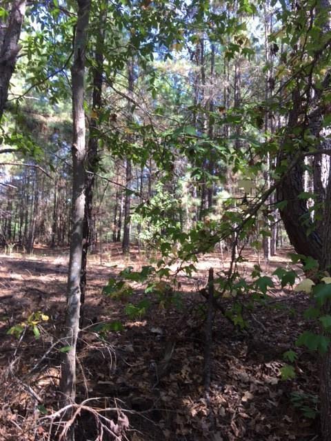 0 County Road 353 - Photo 1