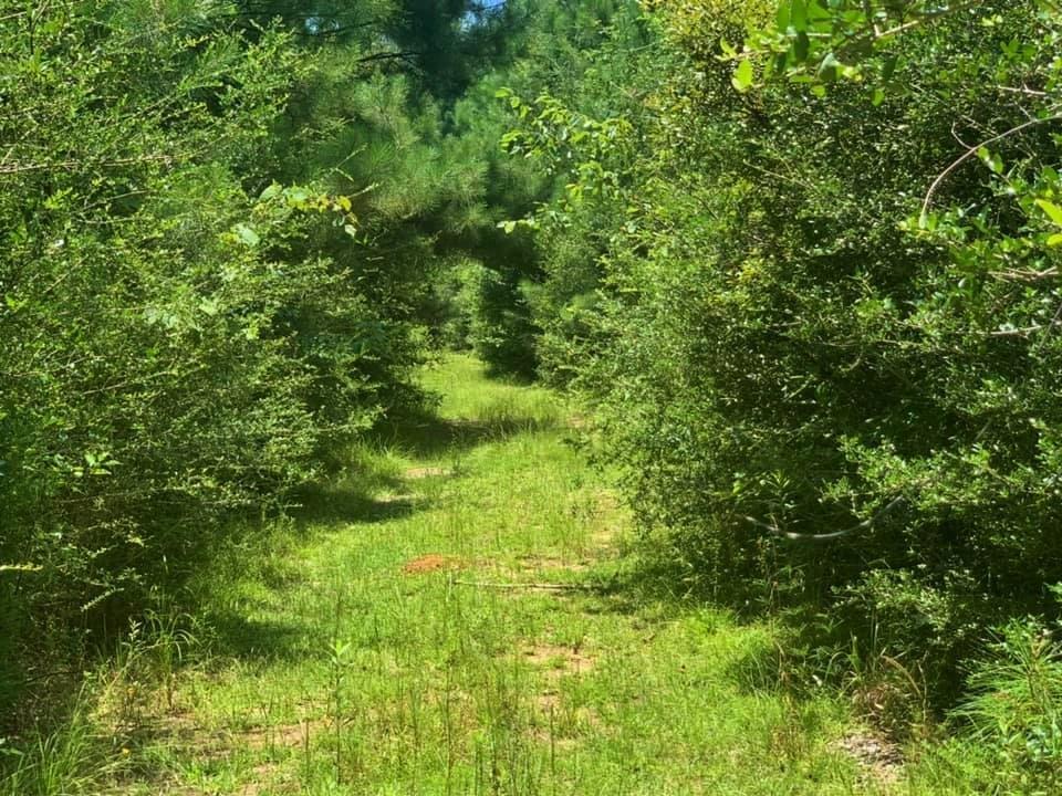 336 County Road 4580 - Photo 1