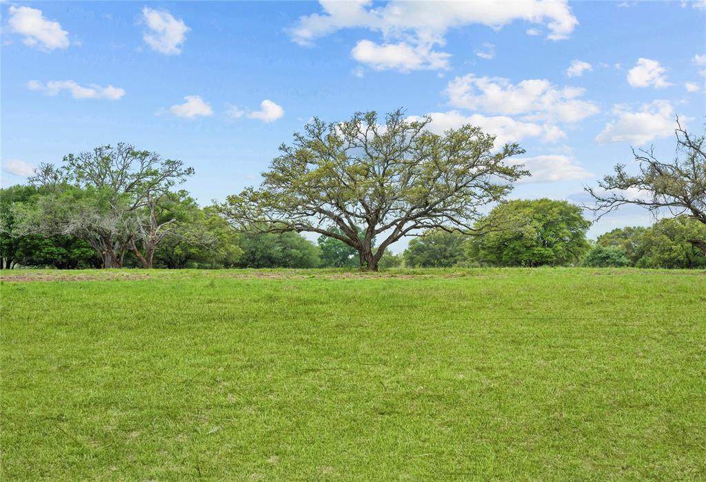 1145 Lot 8 County Road 218 - Photo 1