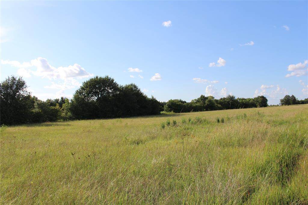 34612 Owens Road - Photo 1