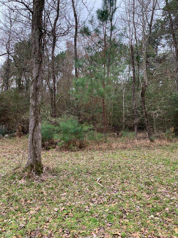 Lot 117 Block 13 Landing Way - Photo 1 Lot 117 Block 13 Landing Way - Photo 1