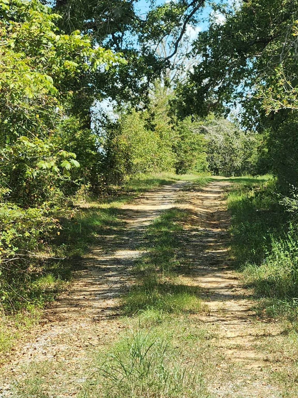 17454 Fm 542 - Photo 1