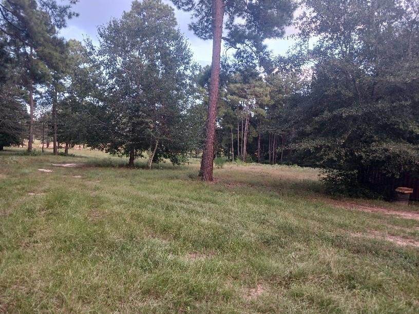 24140 Grand Pines Road - Photo 1