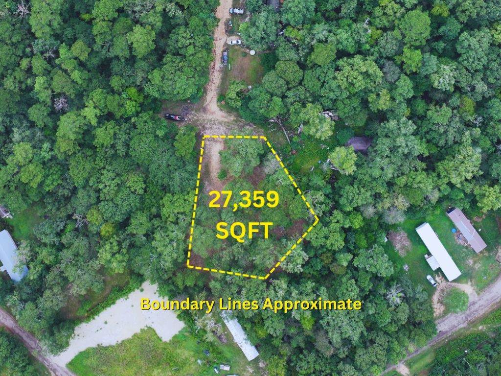 TBD The Living End - Photo 1