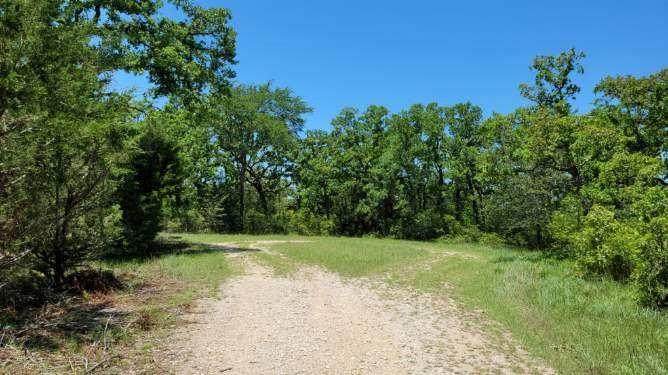 0 Butternut Ln - Photo 1