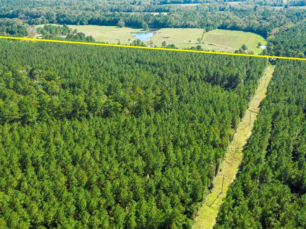 tbd County Rd 3200 - Photo 1