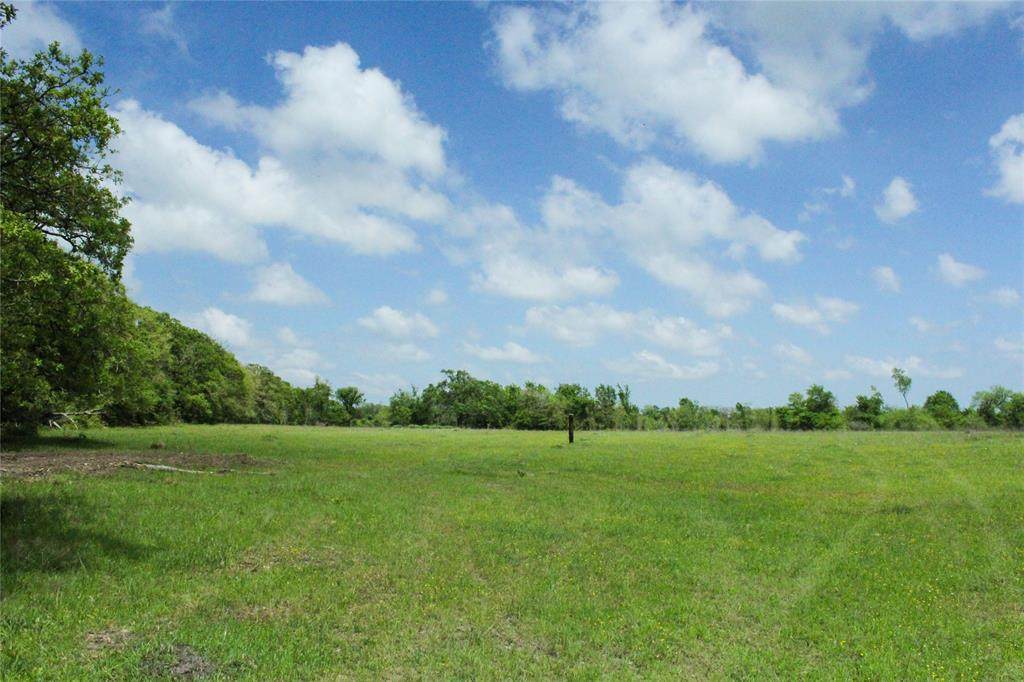0030 County Road 229 - Photo 1