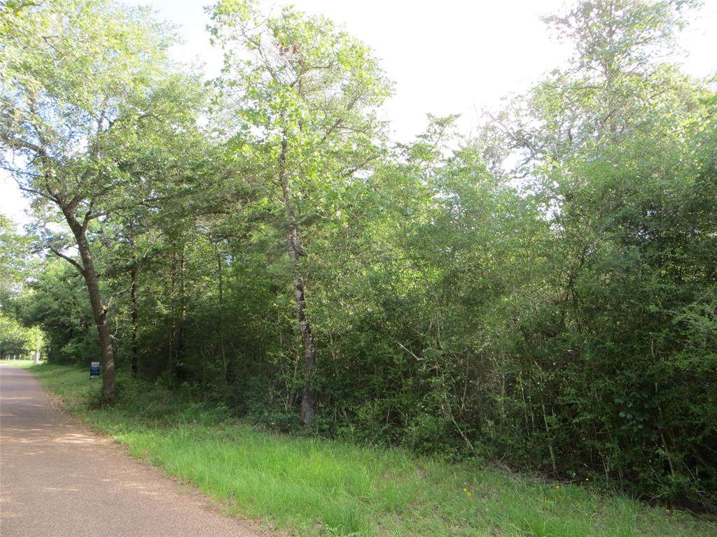 00 Seidel Road - Photo 1
