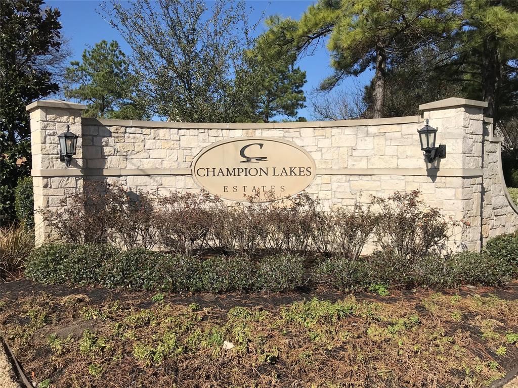 0 Champions Lakeway - Photo 1