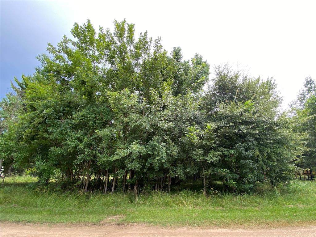 TBD Lot 164 Ferguson Drive - Photo 1