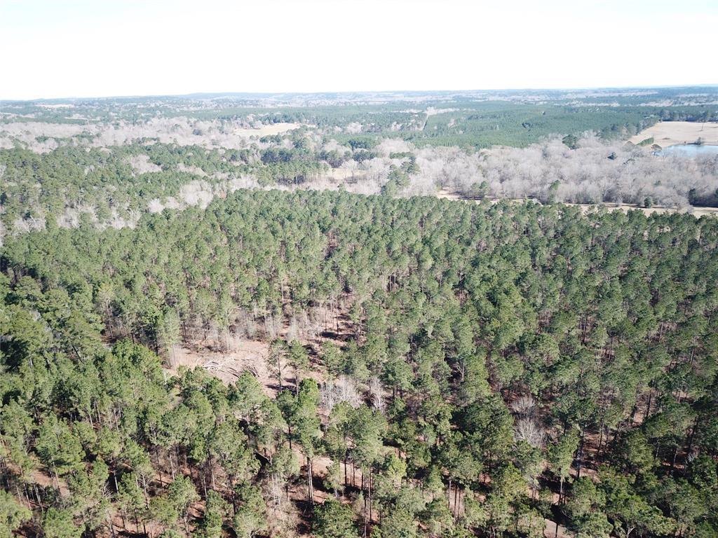 000 Boyd Rd - Photo 1