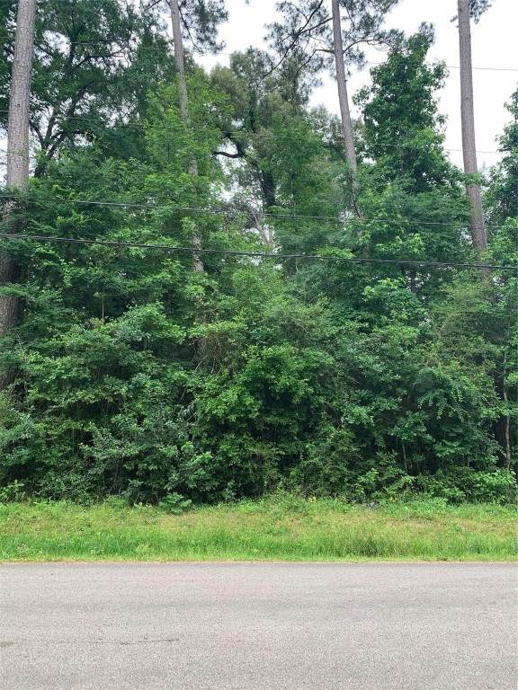 000 Birch Drive - Photo 1
