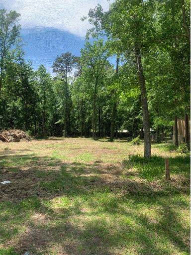 919 Little Doe Drive - Photo 1