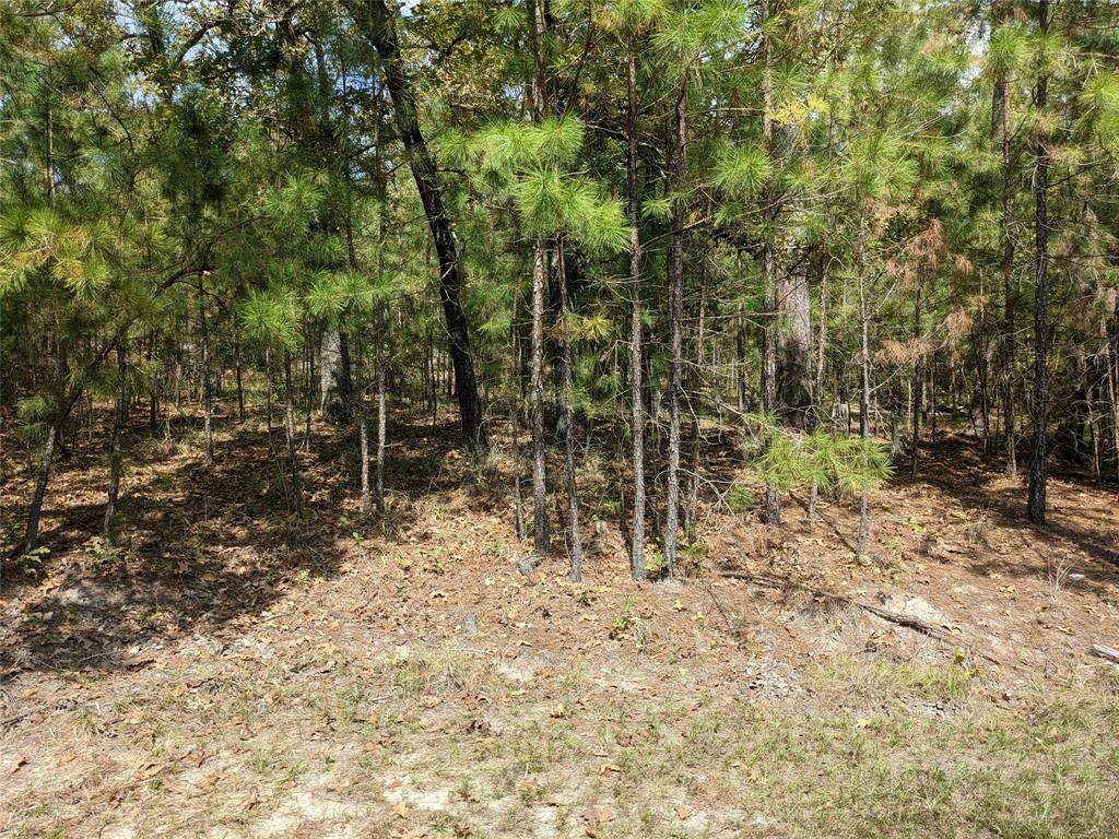 TBD Arrow Head Lane - Photo 1