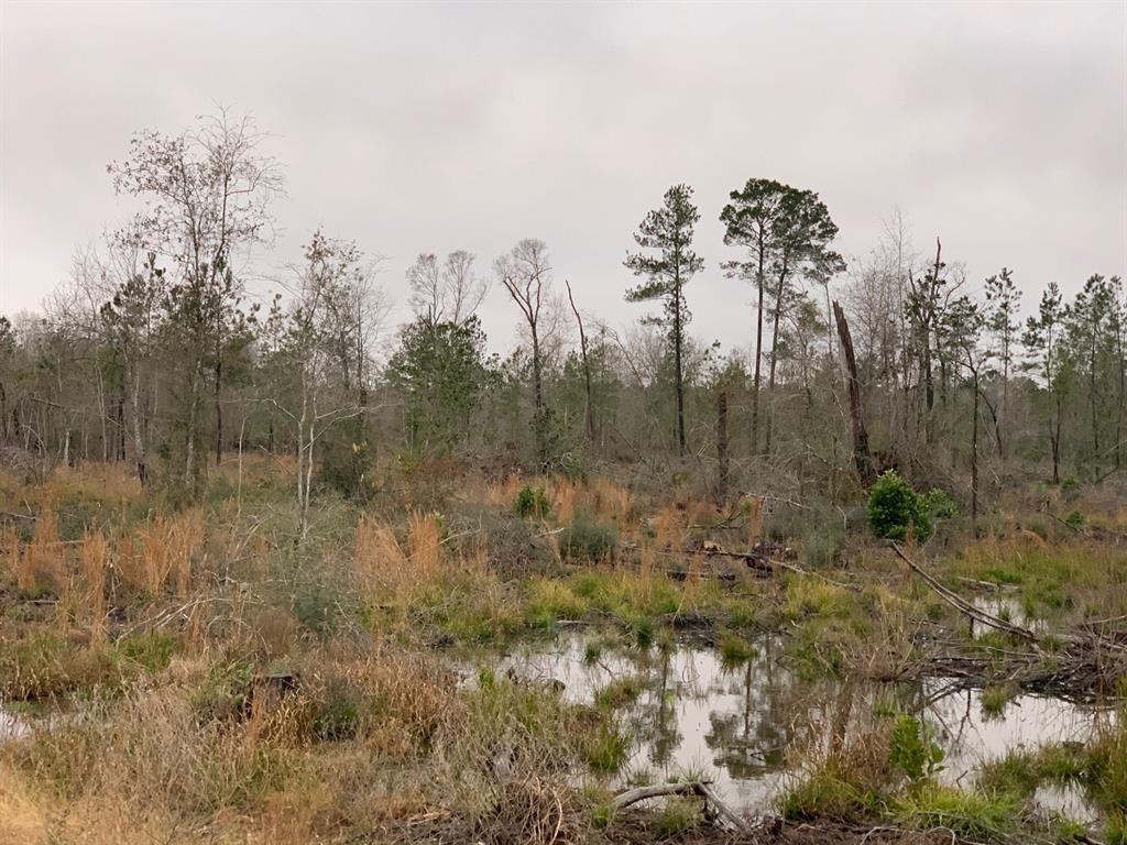 7543 Fm 1008 - Photo 1