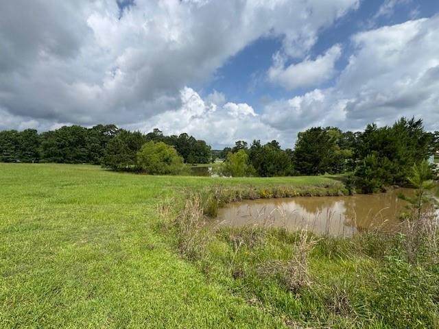 37 Silver Lakes Drive - Photo 1