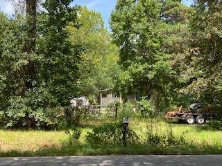 24012 Sorters Road - Photo 1
