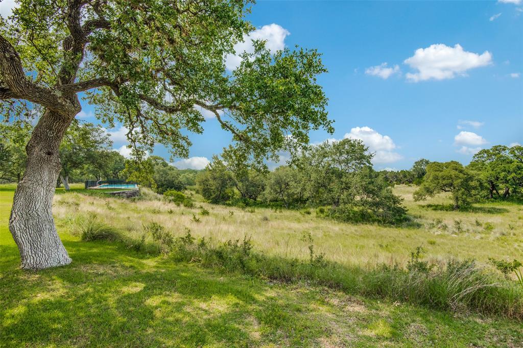 28453 Bridle Path - Photo 1