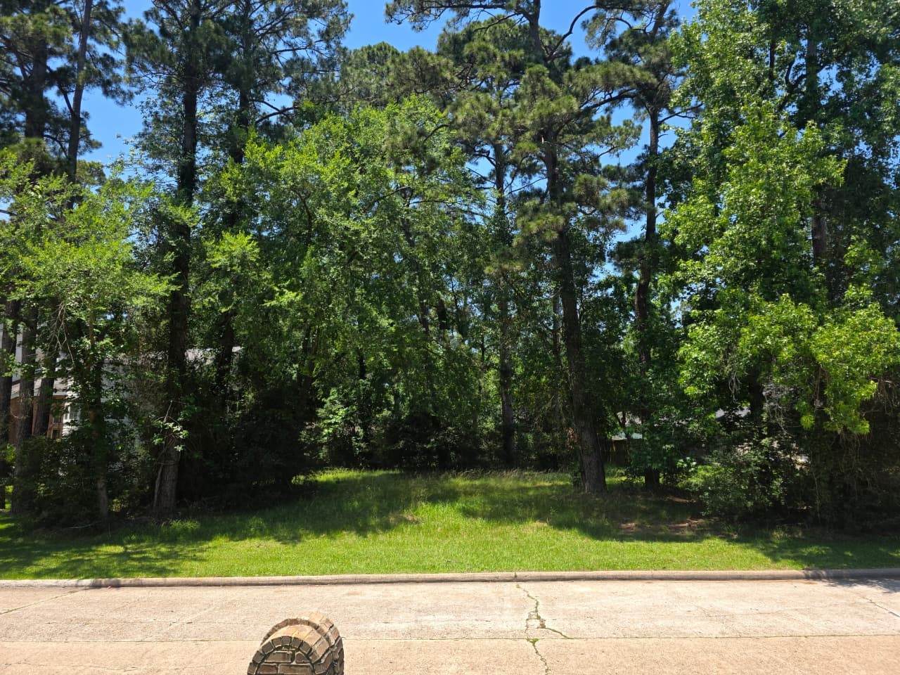 3303 Hemingway Drive - Photo 1