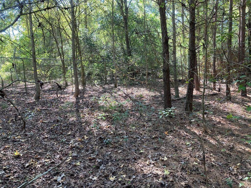 813 East Brenda Lane - Photo 1