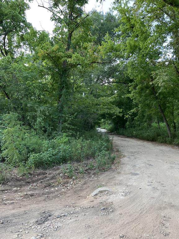 TBD Mill Creek Drive - Photo 1