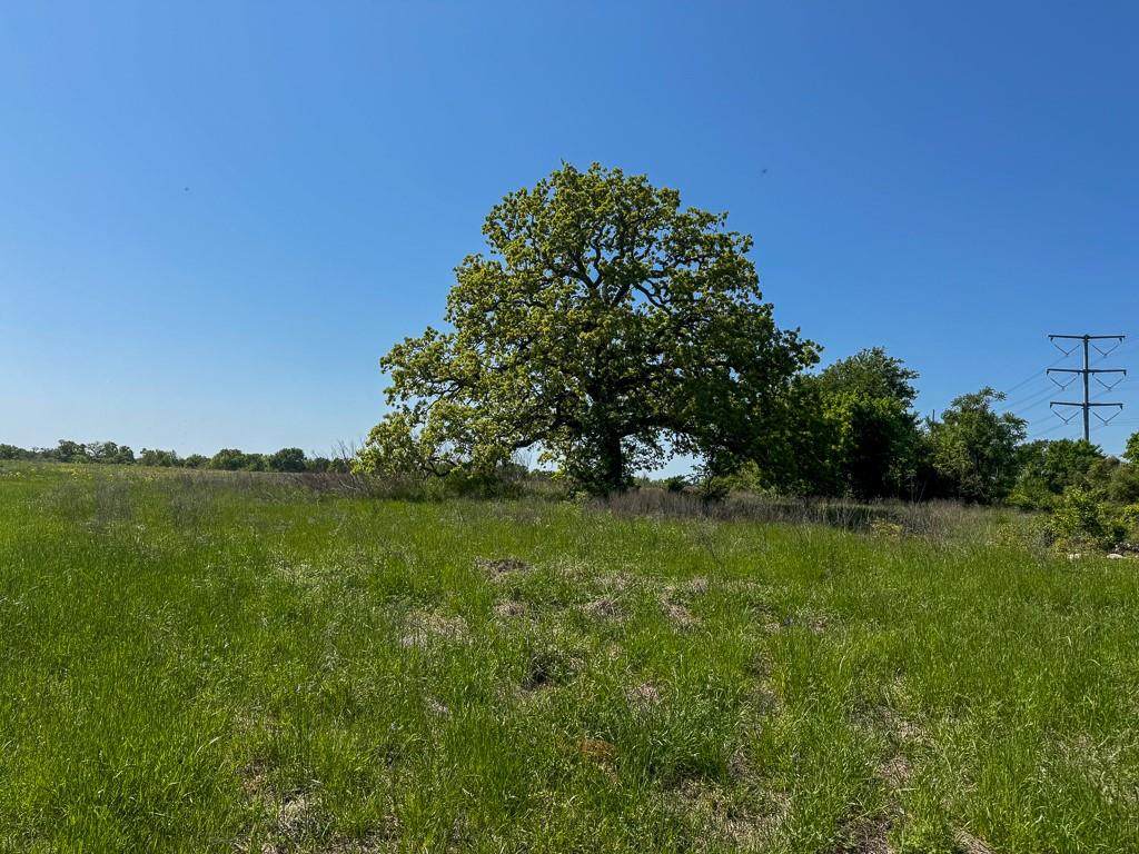 Tract # 1 County Road 123 - Photo 1