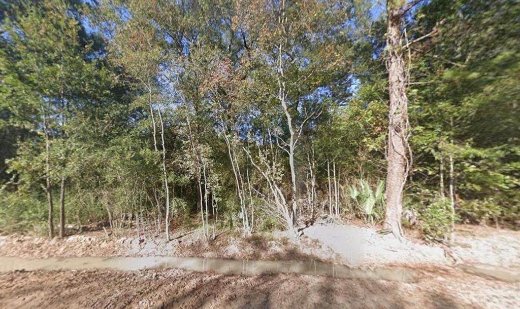 0 Pin Oak Lane - Photo 1