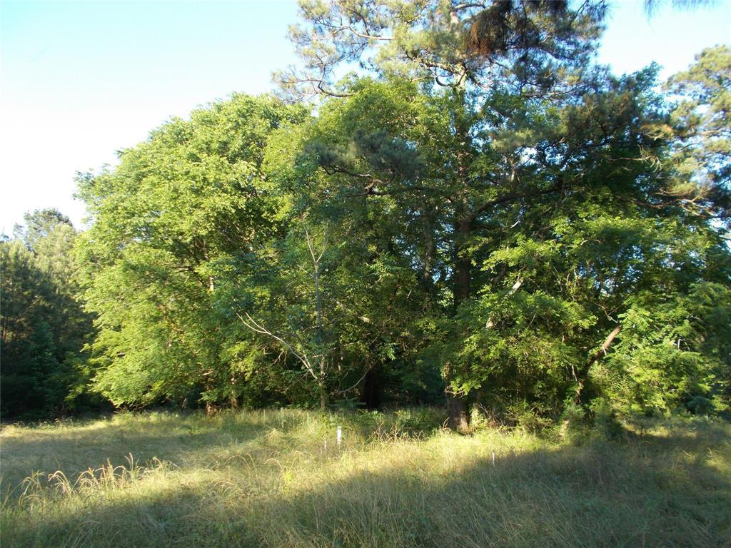 1106 County Rd 2375 Road - Photo 1