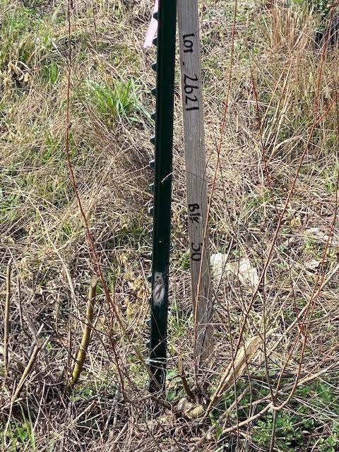 734 County Road 5003 - Photo 1