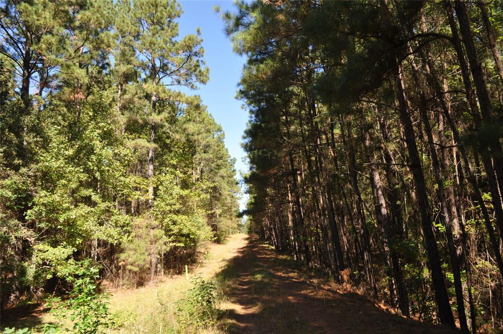 59 Ac Cr 319 - Photo 1