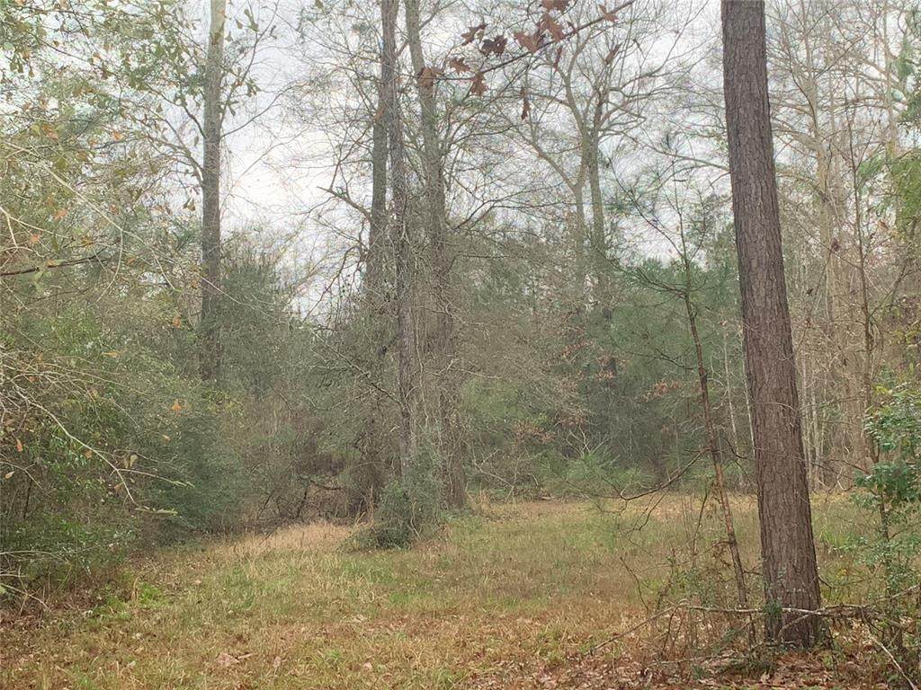 0 County Road 2314 - Photo 1