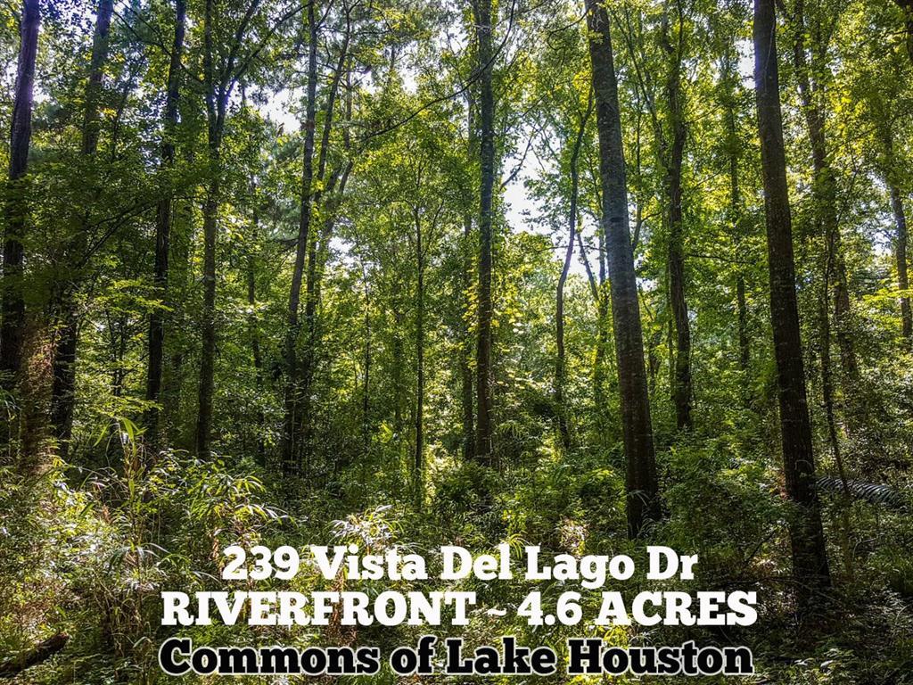 239 Vista Del Lago Drive - Photo 1