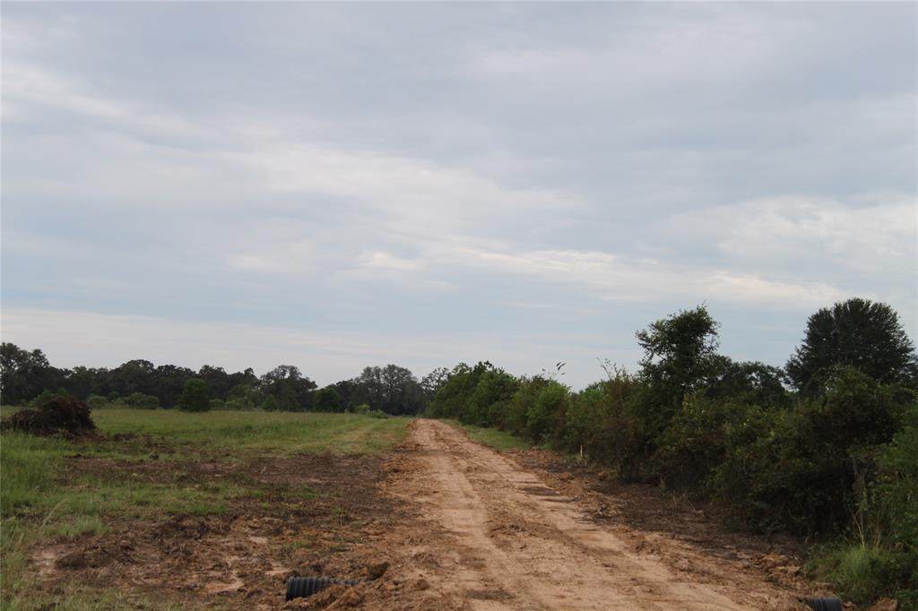 000 Giboney Road - Photo 1