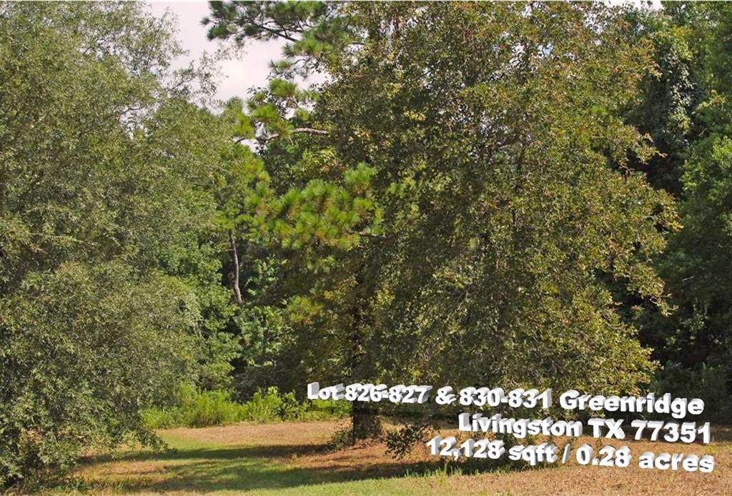 Lot 826-827 Greenridge - Photo 1