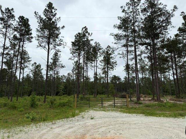 00 Richardson Road - Photo 1