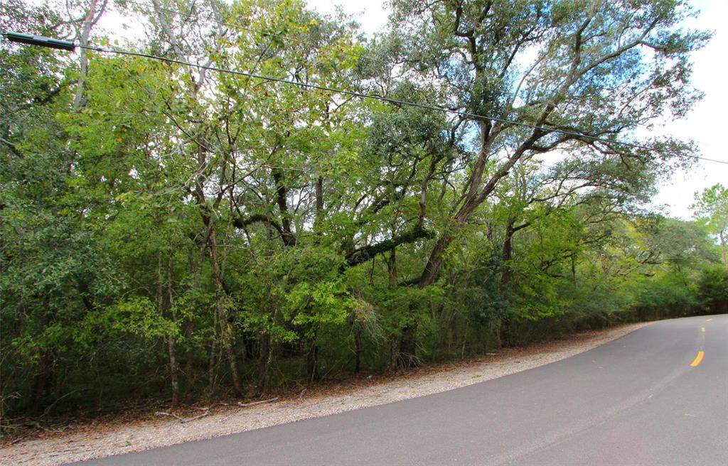 0 County Road 331 - Photo 1