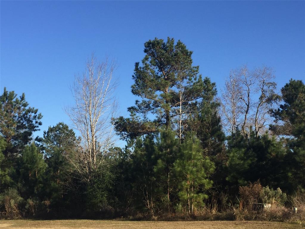 TBD Southcrest Court - Photo 1