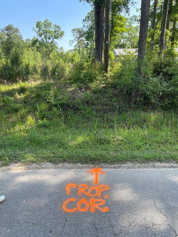 373 County Rd. Kingpont Road Road - Photo 1