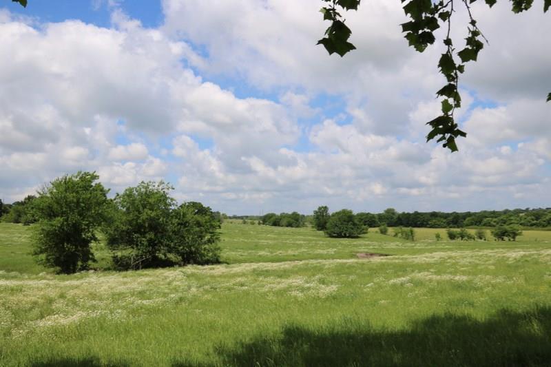 TBD 12.7 Acres Riva Fm 149 E - Photo 1