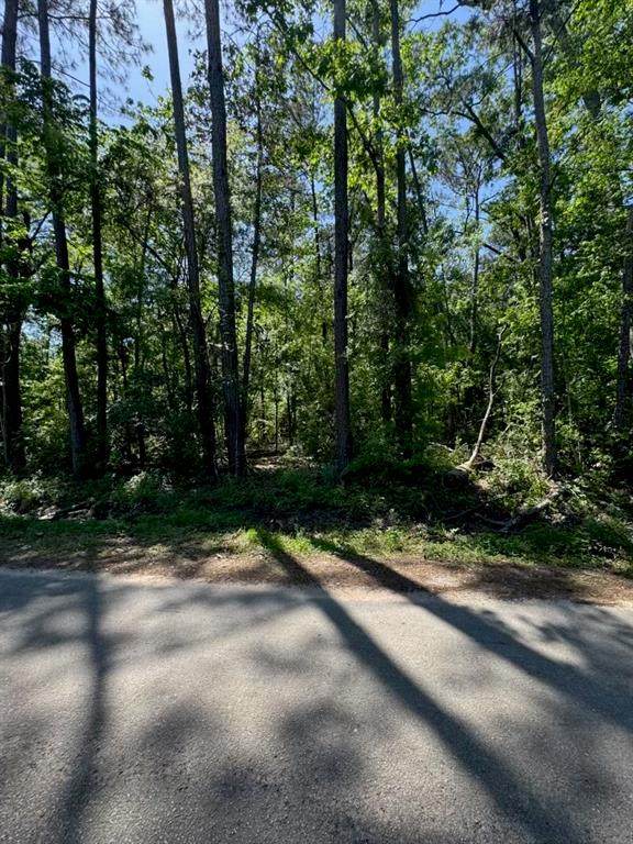 166 County Road 3475 - Photo 1