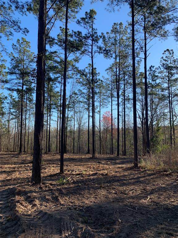 TBD Tract A Fm1087 - Photo 1