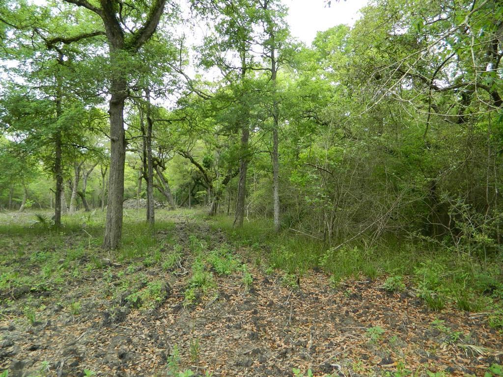 0 County Road 282 - Photo 1