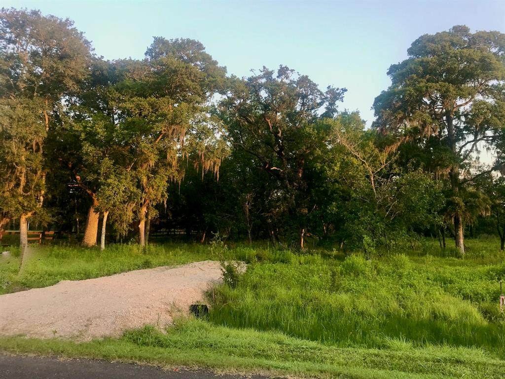 32242 Bayou Bend - Photo 1